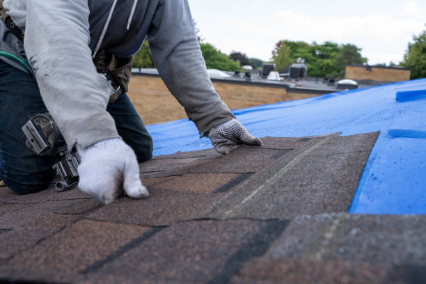 Best Roof Repair Services  in Jackson, OH
